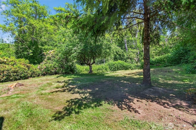 325 E State Route 4, Cathlamet, WA 98612 - view of grassy yard with a view of trees