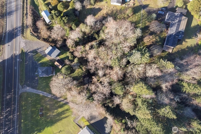 325 E State Route 4, Cathlamet, WA 98612 - view of property location
