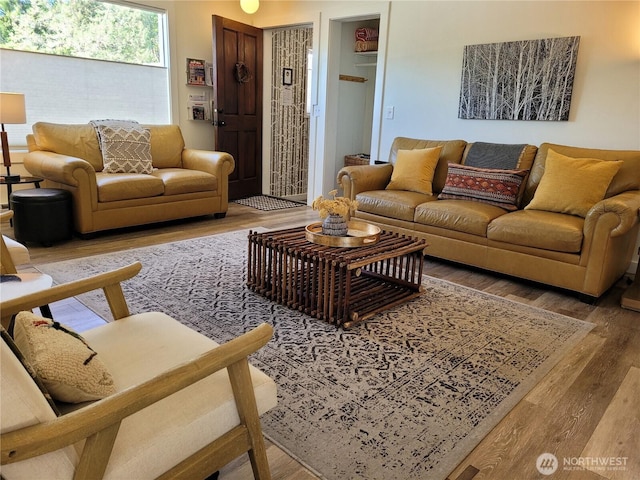 238 Castle Ave, Winthrop, WA 98862 - living room featuring wood finished floors