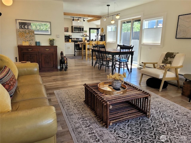 238 Castle Ave, Winthrop, WA 98862 - living room featuring wood finished floors