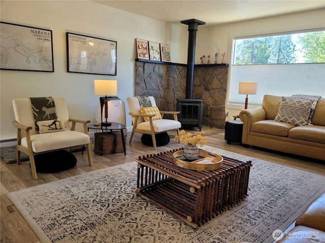 238 Castle Ave, Winthrop, WA 98862 - living room featuring a wood stove and wood finished floors