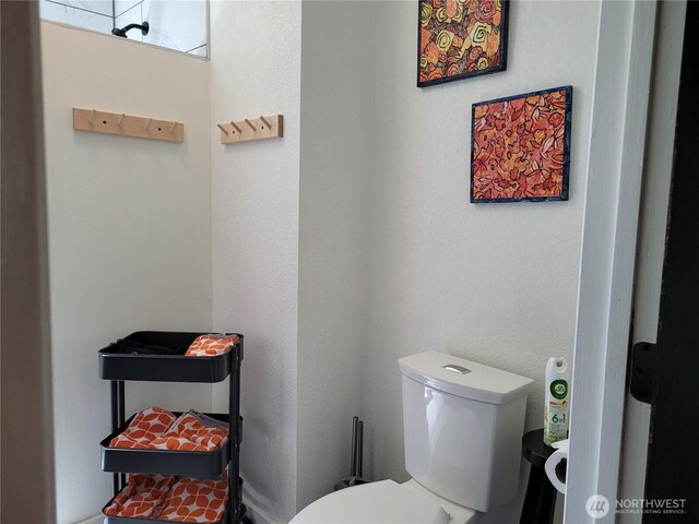 238 Castle Ave, Winthrop, WA 98862 - bathroom with toilet