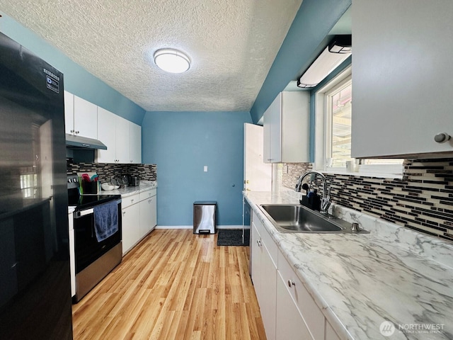 2036 30th Ave, Longview, WA 98632 - kitchen featuring under cabinet range hood, appliances with stainless steel finishes, a sink, decorative backsplash, and light wood-style flooring