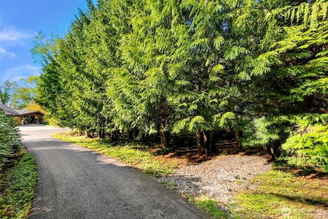 1416 Marietta Ave, Bellingham, WA 98226 - view of asphalt driveway