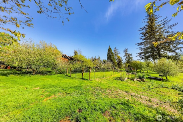 1416 Marietta Ave, Bellingham, WA 98226 - view of yard with a view of rural / pastoral area