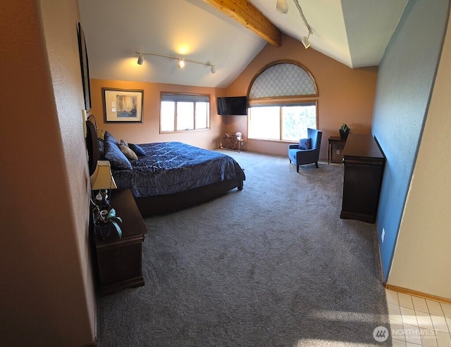 440 W Line Rd, Ephrata, WA 98823 - carpeted bedroom featuring track lighting and baseboards