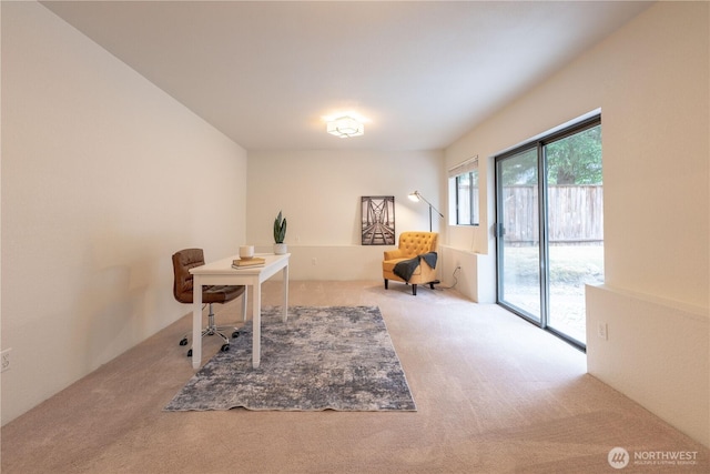 7309 46th Street Ct W, University Place, WA 98466 - view of carpeted office