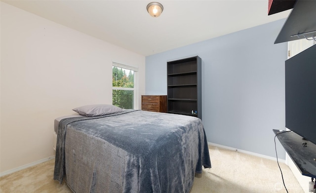 10312 26th Pl SE, Lake Stevens, WA 98258 - bedroom with light colored carpet and baseboards