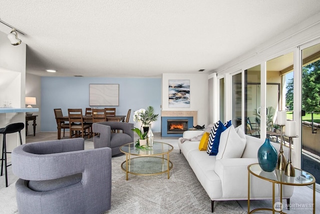 16929 Inglewood Rd NE Unit C201, Kenmore, WA 98028 - carpeted living room with a warm lit fireplace