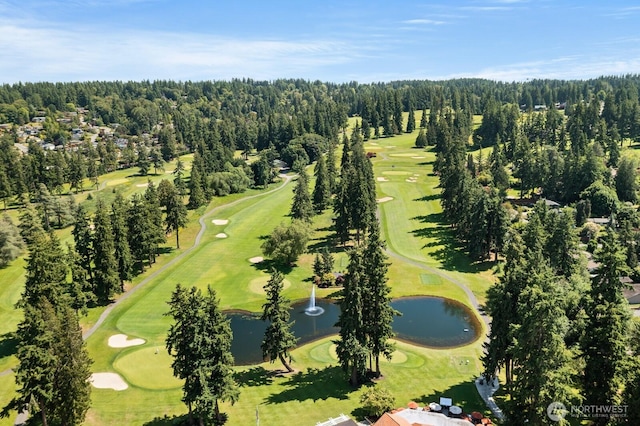 16929 Inglewood Rd NE Unit C201, Kenmore, WA 98028 - drone / aerial view of a large body of water, a golf club, and a forest