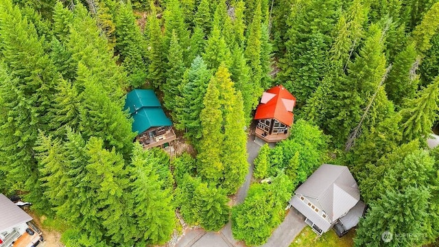 89LOT Winter Park Ln, Easton, WA 98925 - photo 4