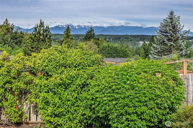 20135 Bue Rund Loop NE, Poulsbo, WA 98370 - view of mountain background with a forest