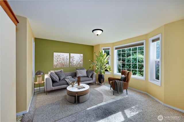 20135 Bue Rund Loop NE, Poulsbo, WA 98370 - carpeted living area featuring baseboards