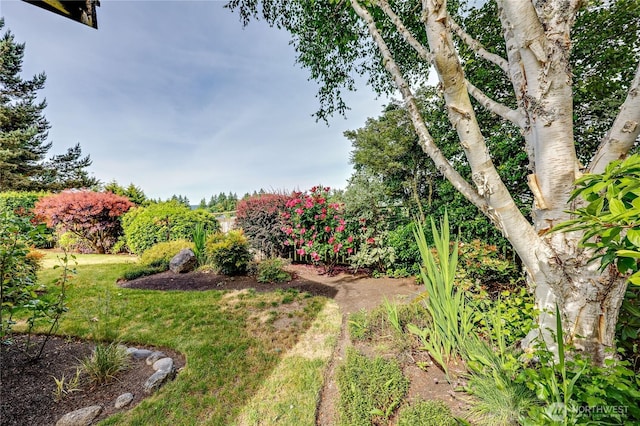 20135 Bue Rund Loop NE, Poulsbo, WA 98370 - view of green lawn