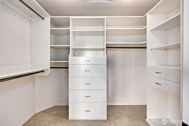20135 Bue Rund Loop NE, Poulsbo, WA 98370 - walk in closet with light colored carpet