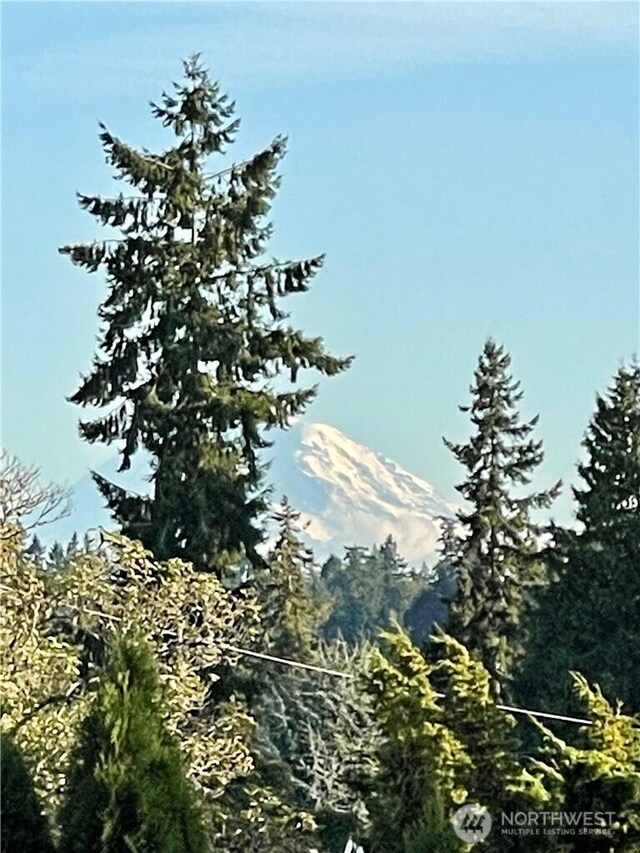 1055 91st Ave NE, Bellevue, WA 98004 - mountain view
