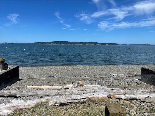 245 Fairview St, Camano Island, WA 98282 - photo 40