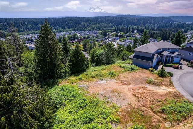 10602 177th Avenue Ct E, Bonney Lake, WA 98391 - photo 1