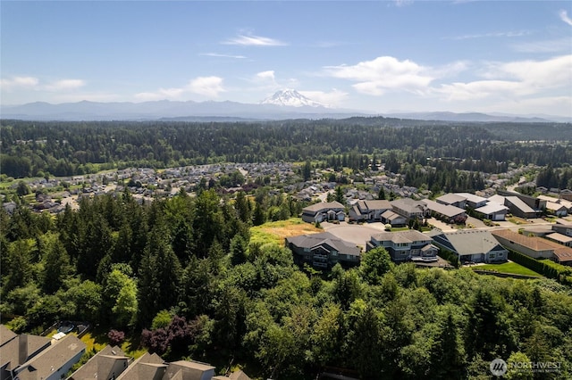10602 177th Avenue Ct E, Bonney Lake, WA 98391 - photo 6