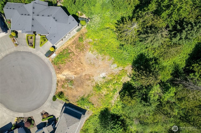 10602 177th Avenue Ct E, Bonney Lake, WA 98391 - photo 4