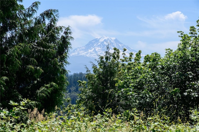10602 177th Avenue Ct E, Bonney Lake, WA 98391 - photo 3