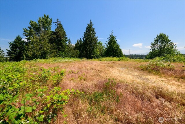10602 177th Avenue Ct E, Bonney Lake, WA 98391 - photo 8