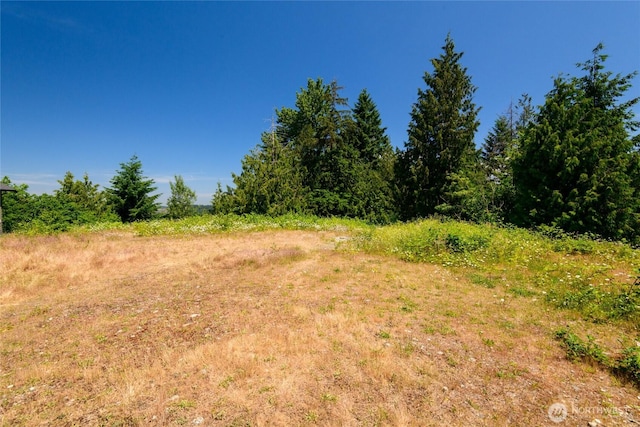 10602 177th Avenue Ct E, Bonney Lake, WA 98391 - photo 9