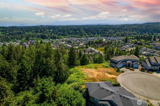 10602 177th Avenue Ct E, Bonney Lake, WA 98391 - photo 12