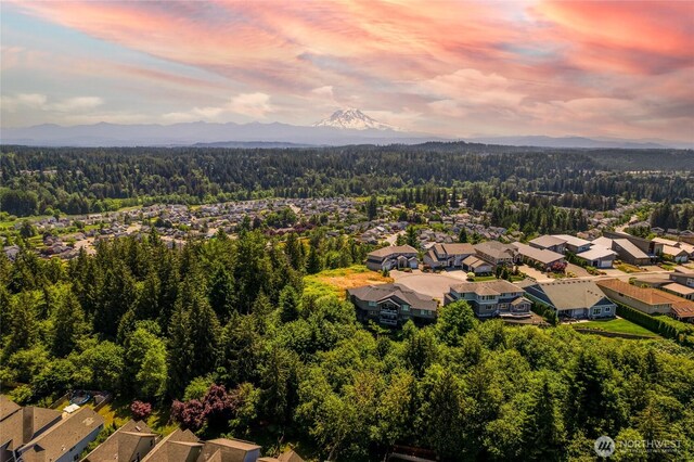 10602 177th Avenue Ct E, Bonney Lake, WA 98391 - photo 13