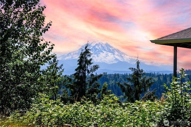10602 177th Avenue Ct E, Bonney Lake, WA 98391 - photo 2