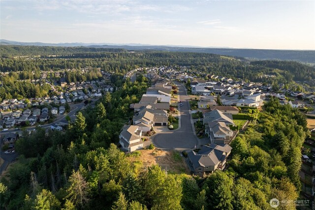 10602 177th Avenue Ct E, Bonney Lake, WA 98391 - photo 17
