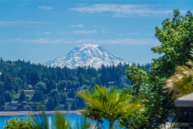 13514 79th Avenue Ct NW, Gig Harbor, WA 98329 - photo 1