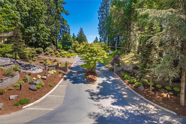 13514 79th Avenue Ct NW, Gig Harbor, WA 98329 - photo 3