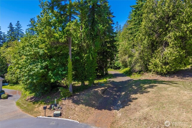 13514 79th Avenue Ct NW, Gig Harbor, WA 98329 - photo 5