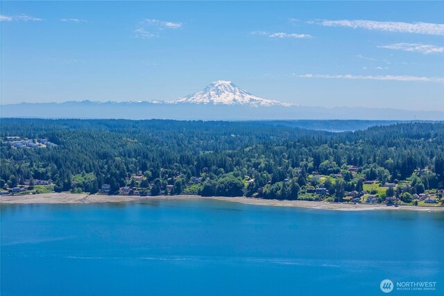 13514 79th Avenue Ct NW, Gig Harbor, WA 98329 - photo 10