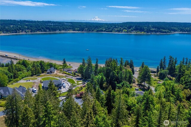 13514 79th Avenue Ct NW, Gig Harbor, WA 98329 - photo 12