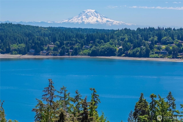 13514 79th Avenue Ct NW, Gig Harbor, WA 98329 - photo 13