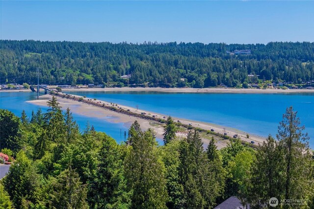 13514 79th Avenue Ct NW, Gig Harbor, WA 98329 - photo 14