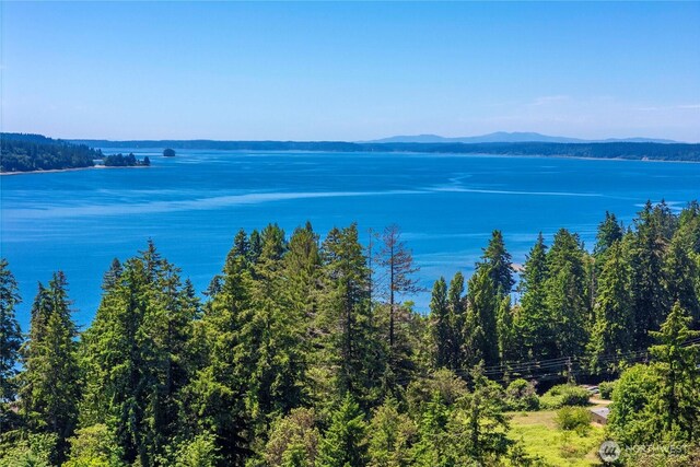 13514 79th Avenue Ct NW, Gig Harbor, WA 98329 - photo 16