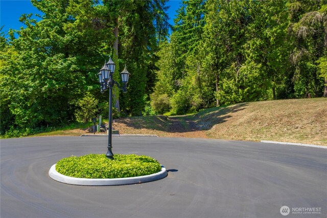 13514 79th Avenue Ct NW, Gig Harbor, WA 98329 - photo 18