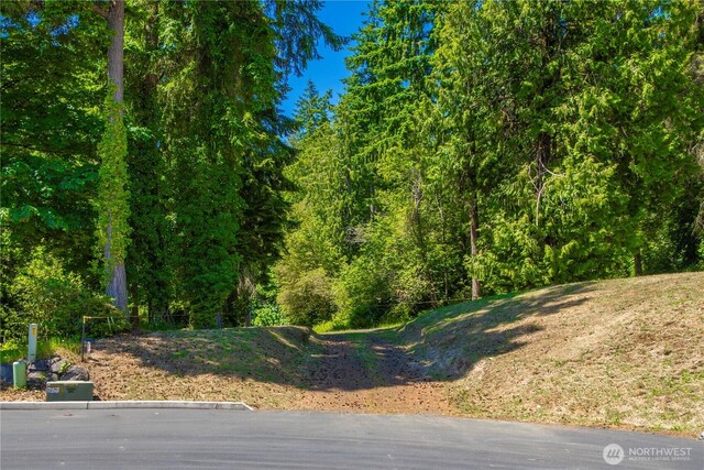 13514 79th Avenue Ct NW, Gig Harbor, WA 98329 - photo 19