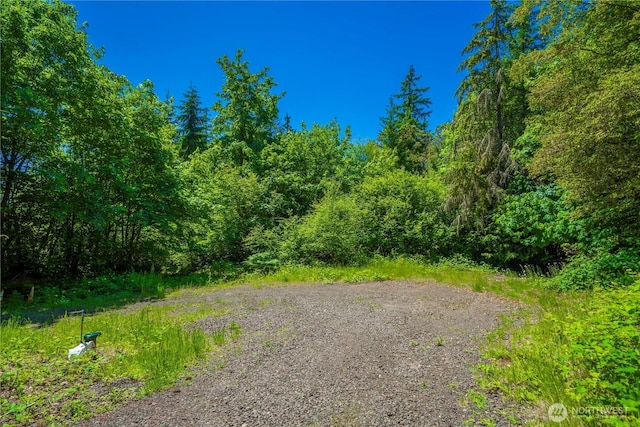 13514 79th Avenue Ct NW, Gig Harbor, WA 98329 - photo 22