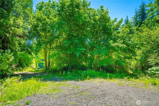 13514 79th Avenue Ct NW, Gig Harbor, WA 98329 - photo 24