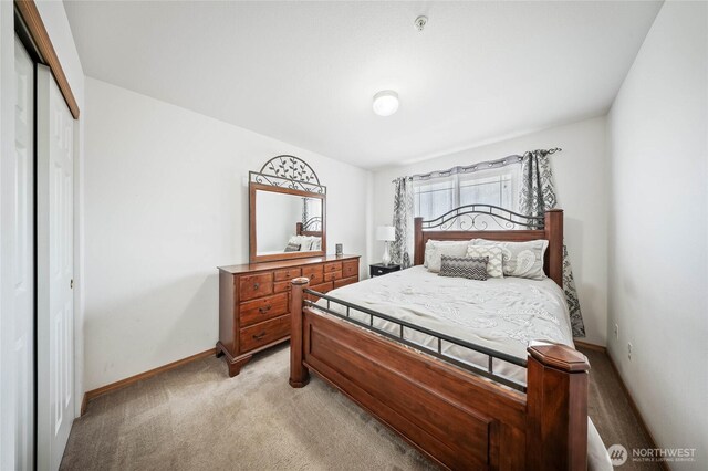 2427 Bellanca Ct, East Wenatchee, WA 98802 - bedroom featuring light carpet and a closet