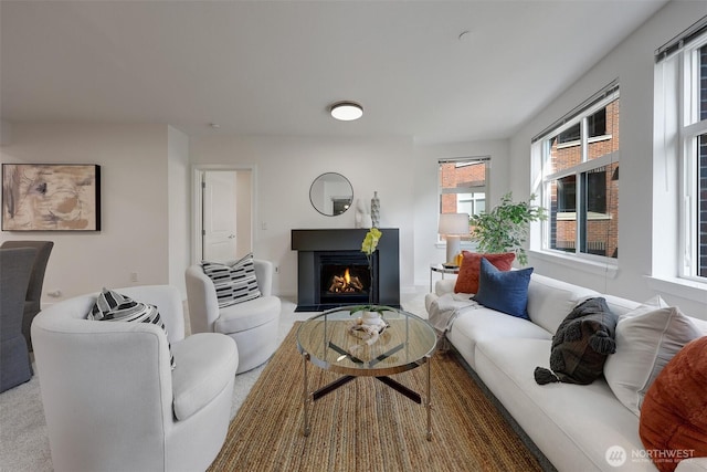 5450 Leary Ave NW Unit 251, Seattle, WA 98107 - living room with a lit fireplace