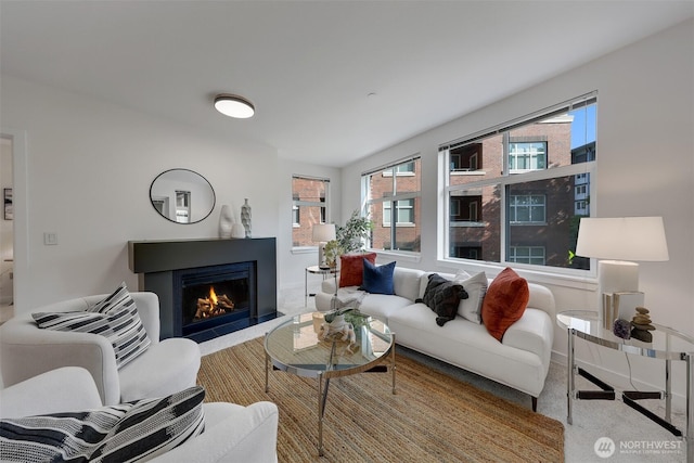 5450 Leary Ave NW Unit 251, Seattle, WA 98107 - carpeted living room featuring a warm lit fireplace, plenty of natural light, and baseboards
