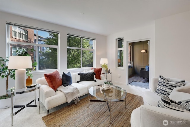 5450 Leary Ave NW Unit 251, Seattle, WA 98107 - living room featuring carpet floors
