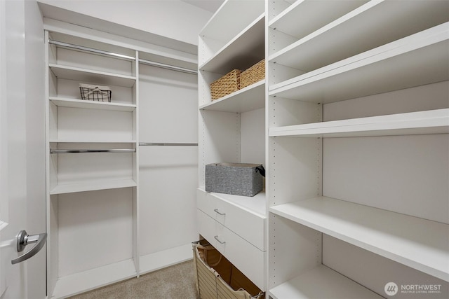 5450 Leary Ave NW Unit 251, Seattle, WA 98107 - spacious closet featuring light colored carpet