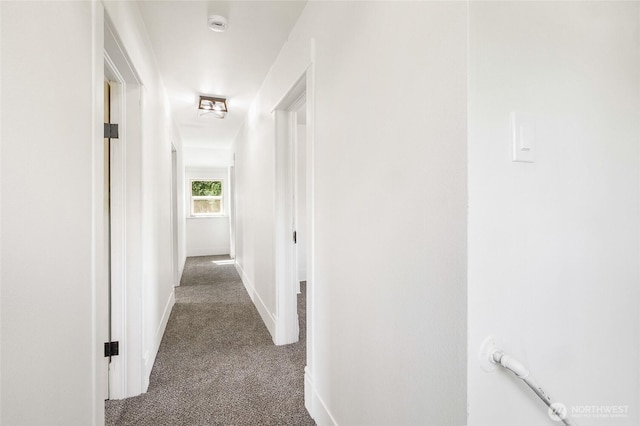 449 NE Cliff Ave, Wilbur, WA 99185 - hallway featuring carpet and baseboards