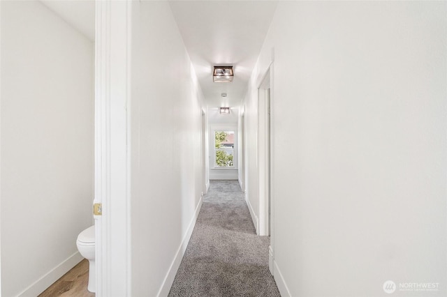 449 NE Cliff Ave, Wilbur, WA 99185 - hall with baseboards and carpet